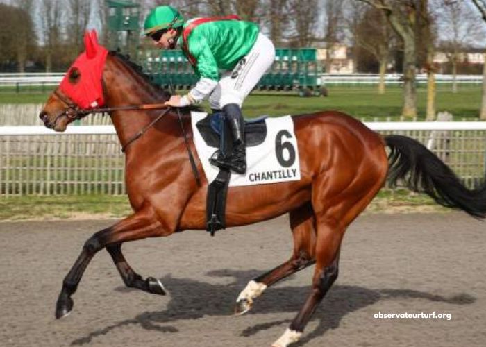 Le Blog DE Wolni
