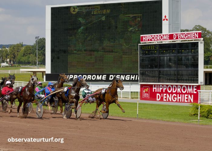 Turf Pronostic 7 (1)