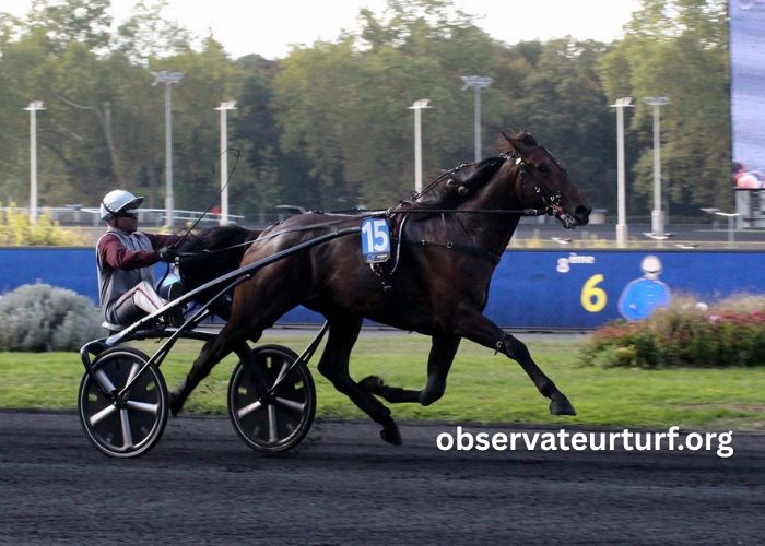 Duel Du Trio Gagnant (1)
