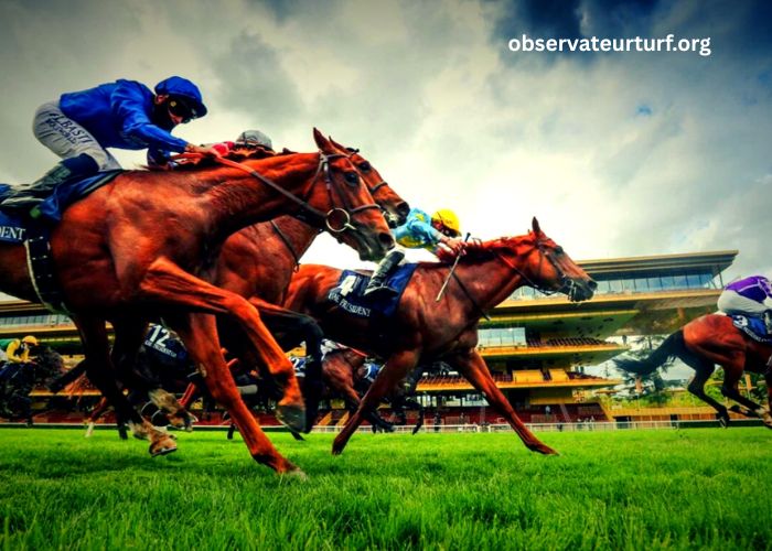 Prono Vérité Turf (1)