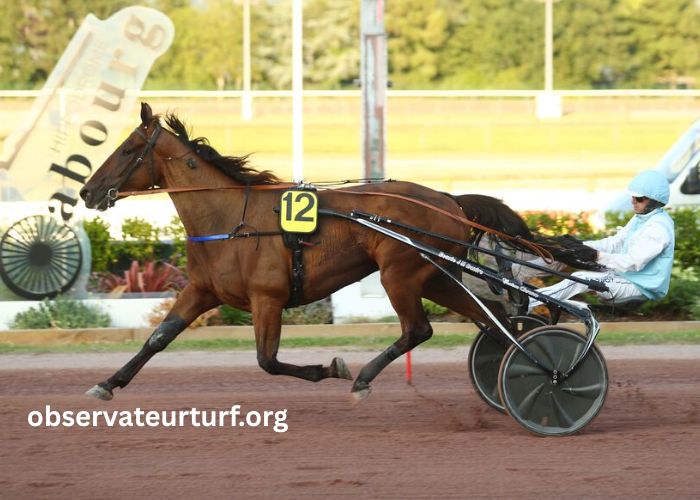 Arive Du Pmu (3)