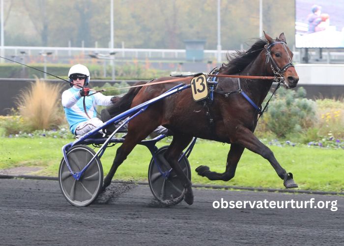 Mon Trio Gagnant (1)
