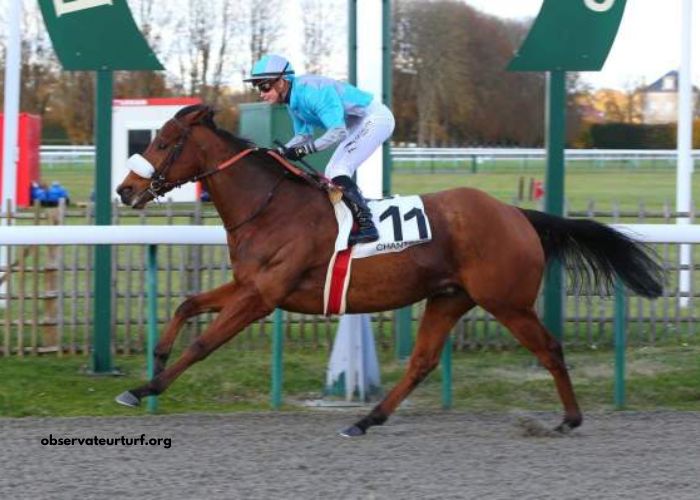 Mon Trio Turf