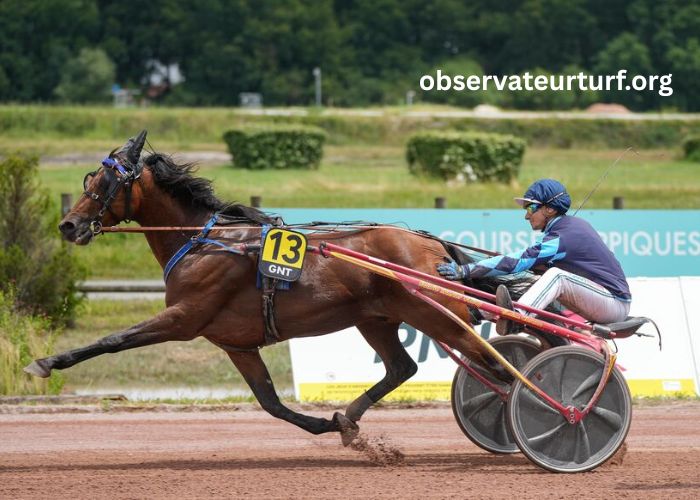 Paris Course Vip (1)