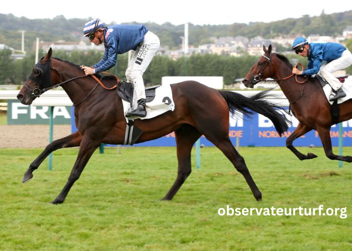 Resultat Des Courses Aujourd'hui (4)